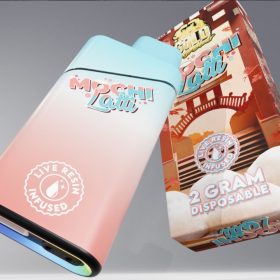 BUY Mochilatti GOLD COAST CLEAR