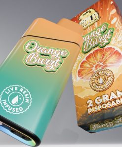BUY Orange Burzt GOLD COAST CLEAR