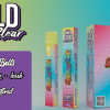 BUY Rainbow Belts GOLD COAST CLEAR