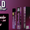 BUY Sherbacio GOLD COAST CLEAR