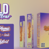 Buy Bahama Mama Gold Coast Clear