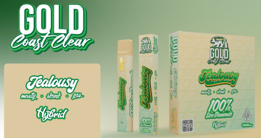 Buy Jealousy Gold Coast Clear